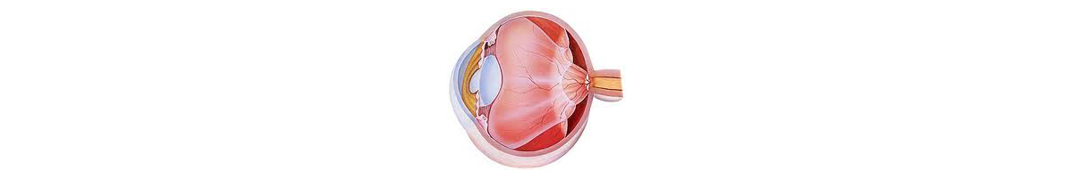 Distacco della retina